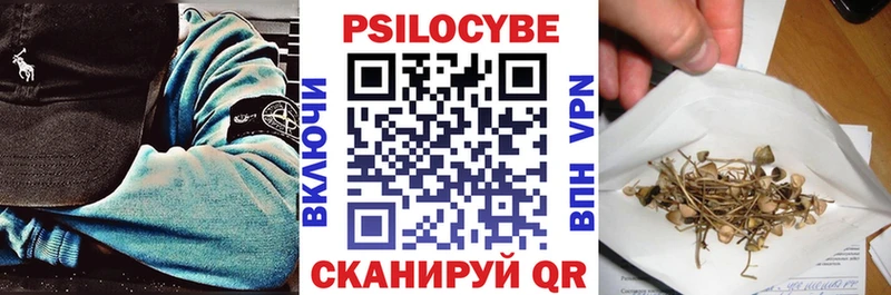 Купить где  Гагарин  Галлюциногенные грибы Cubensis 